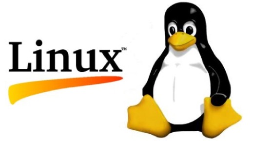 Linux